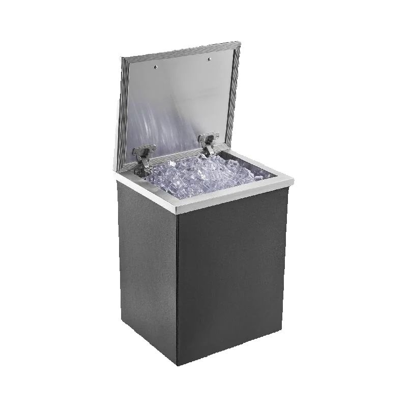 SucceBuy-cofre de hielo de ace - Commercial Kitchen Bin reseña y precio